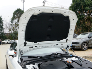 2022Ŀ T8 E ݺA lәCœ