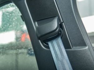 2022L(zhng)m(x) PRO g