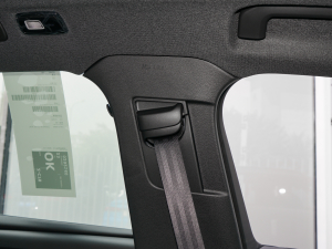 2023L(zhng)m(x) PRO g