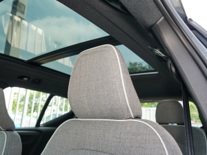 2023L(zhng)m(x) PRO g