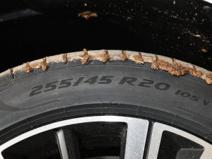 2023T8 늻 LmhA ݆̥ߴ