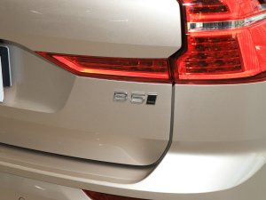 2025B5 (q)h(yun)A (x)(ji)^