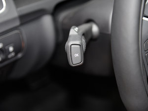 2016L 2.0T T5 S п؅^