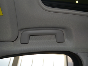 2018L 2.0T T4 hMȡ g