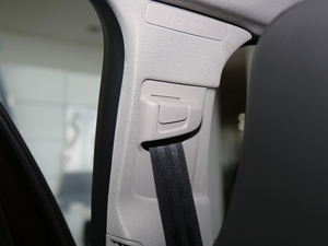 2018L 2.0T T4 hMȡ g