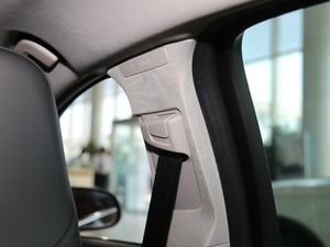 2018L 2.0T T4 hMȡ g