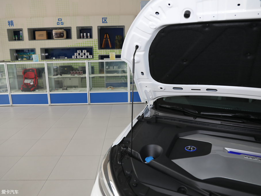 2018BEIJING-EU5 R550 I