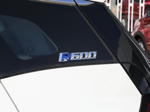 2019R600 L(fng) (x)(ji)^