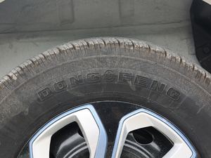 2019ИI 270km ݆̥Ʒ