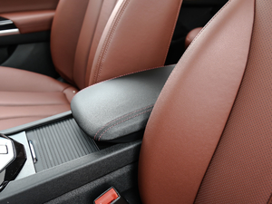 2020ʿ R500 L(fng) 