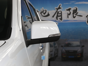 2020款1.9T 四驱 自动劲悦版 5座 后视镜