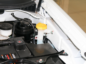 2020S 2.5T (q)I(lng)(bio)S  (gu)VI 