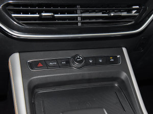 20231.9TԄV-CROSSIRZ4E {{