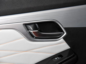 20231.9TԄV-CROSSIRZ4E п؅^