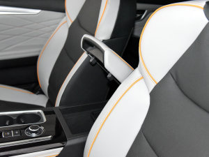 20231.9TԄV-CROSSIRZ4E g