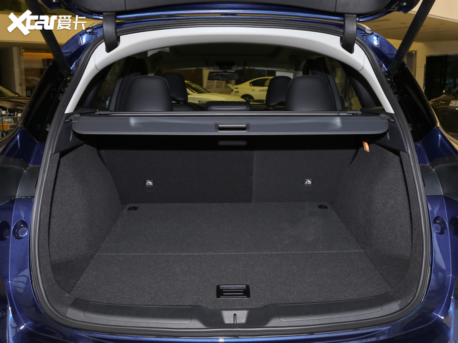 2022ӢQX50 2.0T (q)I(lng)