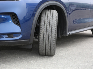 20222.0T (q)I(lng) (x)(ji)^