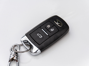 20201.5L CVTȤ ܇耳