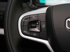 2020Ŀ 1.5L քӳ п؅^(q)