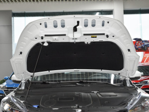 2021款1.5T CVT劲趣版 其它