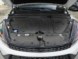 2021款1.5L CVT劲耀版 发动机