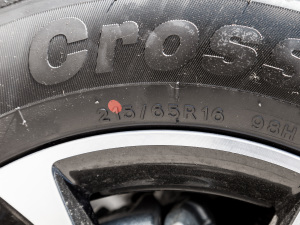 20211.5L ք(dng) ݆̥ߴ