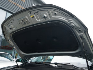 2023 300 ǿհ lәCœ