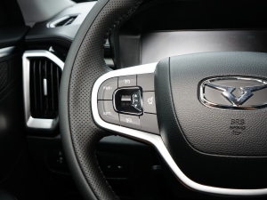 2024Žpro 1.5T CVTA  п؅^(q)