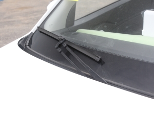 2022220(bio)(zhn) ˢ