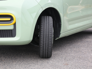 2022220(bio)(zhn) (x)(ji)^