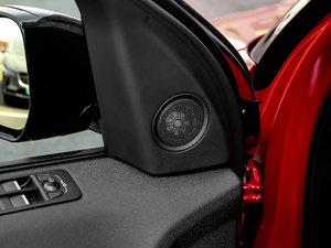 2019240PS SEDynamic V g