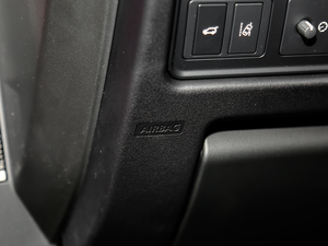 2019240PS SEDynamic V g