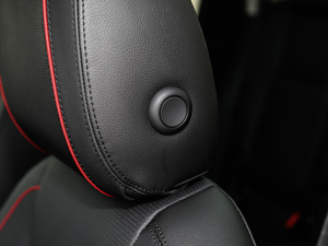 2019240PS SEDynamic V g