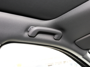 2019240PS SEDynamic V g