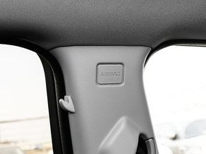 2019240PS SEDynamic V g