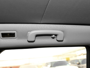 2019240PS SEDynamic V g