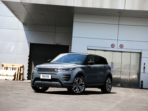 2020249PS R-DYNAMIC SE \ӿƼư w^