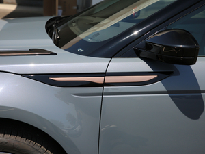 2020249PS R-DYNAMIC SE \ӿƼư ^