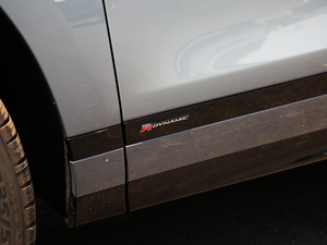 2020249PS R-DYNAMIC SE \ӿƼư ^