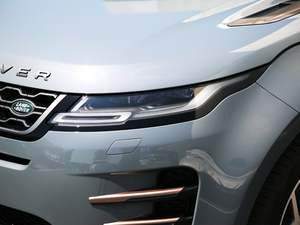 2020249PS R-DYNAMIC SE \ӿƼư 