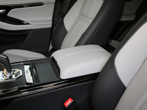 2020249PS R-DYNAMIC SE \ӿƼư 