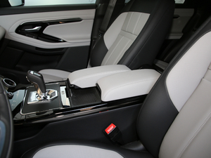 2020249PS R-DYNAMIC SE \ӿƼư g