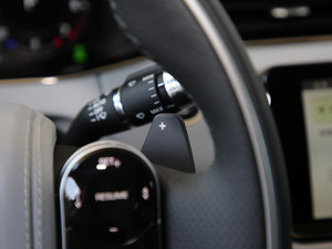 2020249PS R-DYNAMIC SE \ӿƼư п؅^(q)