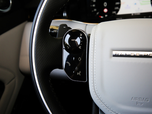 2020249PS R-DYNAMIC SE \ӿƼư п؅^(q)