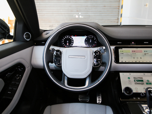 2020249PS R-DYNAMIC SE \ӿƼư P