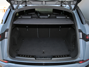 2020249PS R-DYNAMIC SE \ӿƼư 