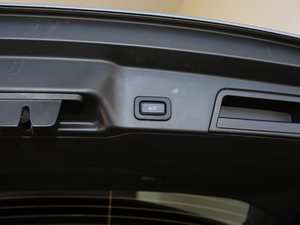 2020249PS R-DYNAMIC SE \ӿƼư 