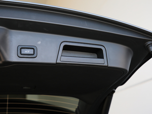 2020249PS R-DYNAMIC SE \ӿƼư 