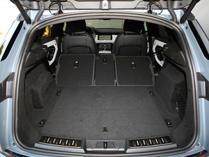 2020249PS R-DYNAMIC SE \ӿƼư 