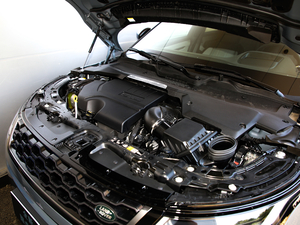 2020249PS R-DYNAMIC SE \ӿƼư 